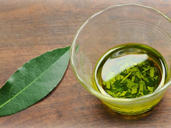 Ste vedeli, kakšno moč imajo lovorjevi listi z olivnim oljem?